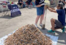 Sessanta chili di mozziconi di sigarette raccolti nel Lazio dai volontari di “Plastic free”, Latina contribuisce