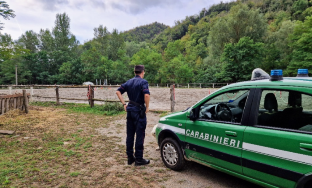 Bungalow e piscina abusivi in struttura ricettiva Latina, scattano sigilli