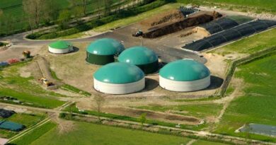 Latina: centrale a biomasse il Tar dice no alla centrale a biomasse